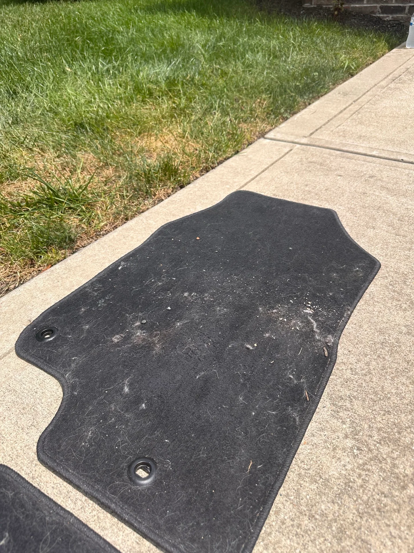Floor mat before detailing