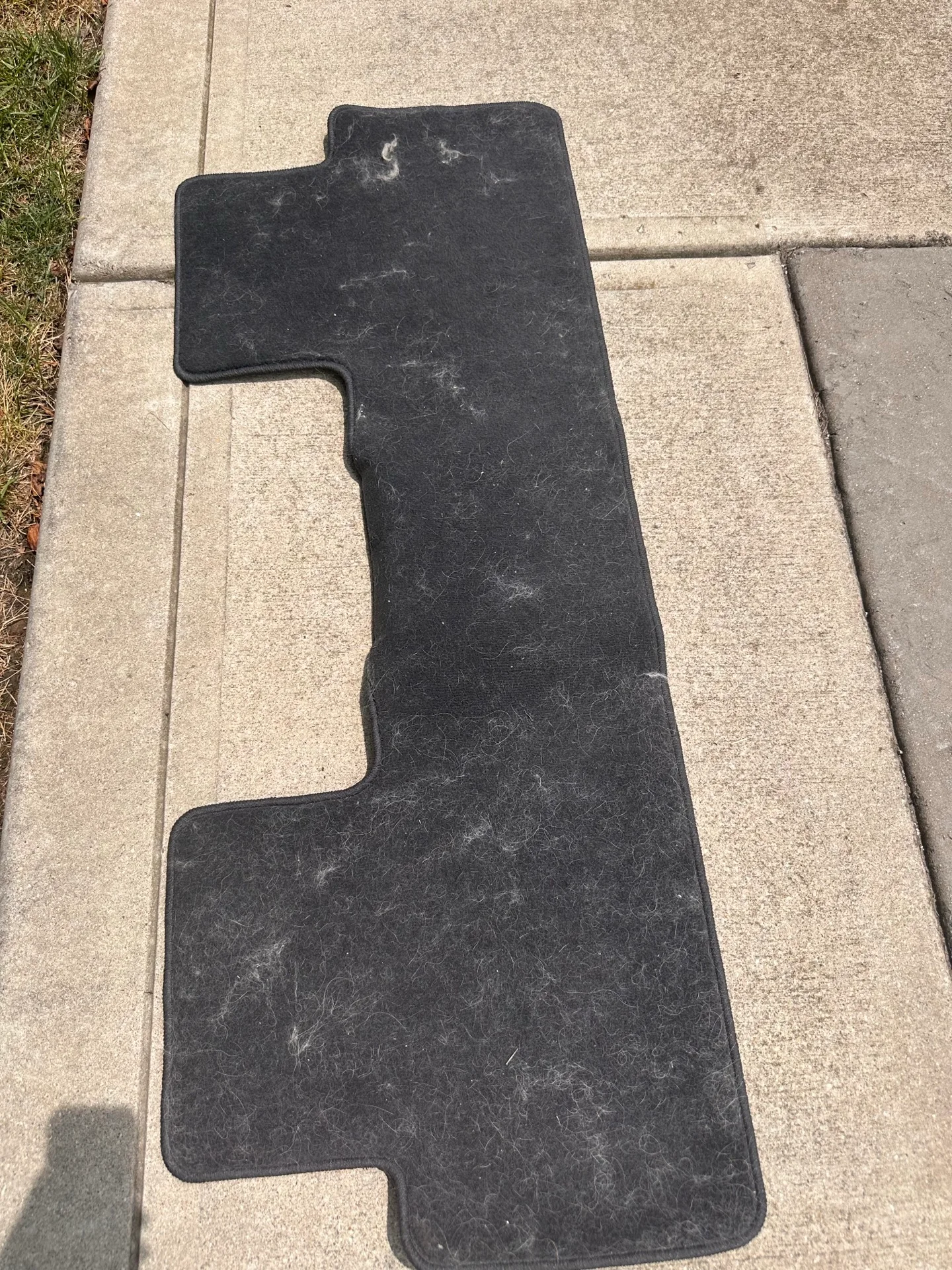 Rear floor mat before detailing